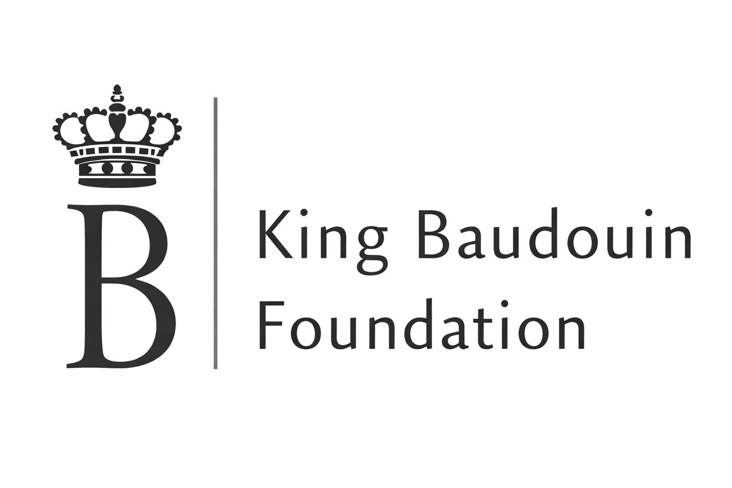 Mindtrail - Coaching und Mentoring - Logo King Baudouin Foundation